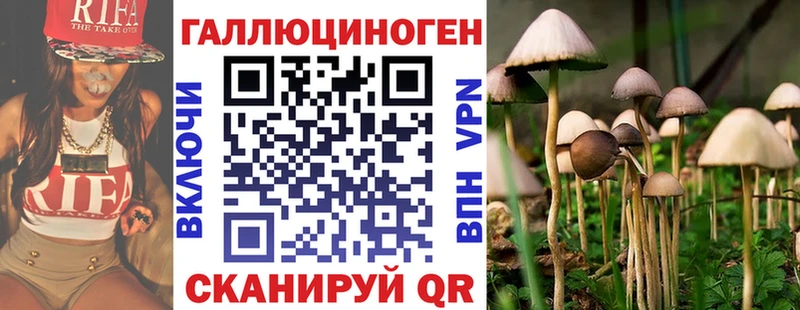 Купить  Звенигово  Галлюциногенные грибы Psilocybine cubensis 